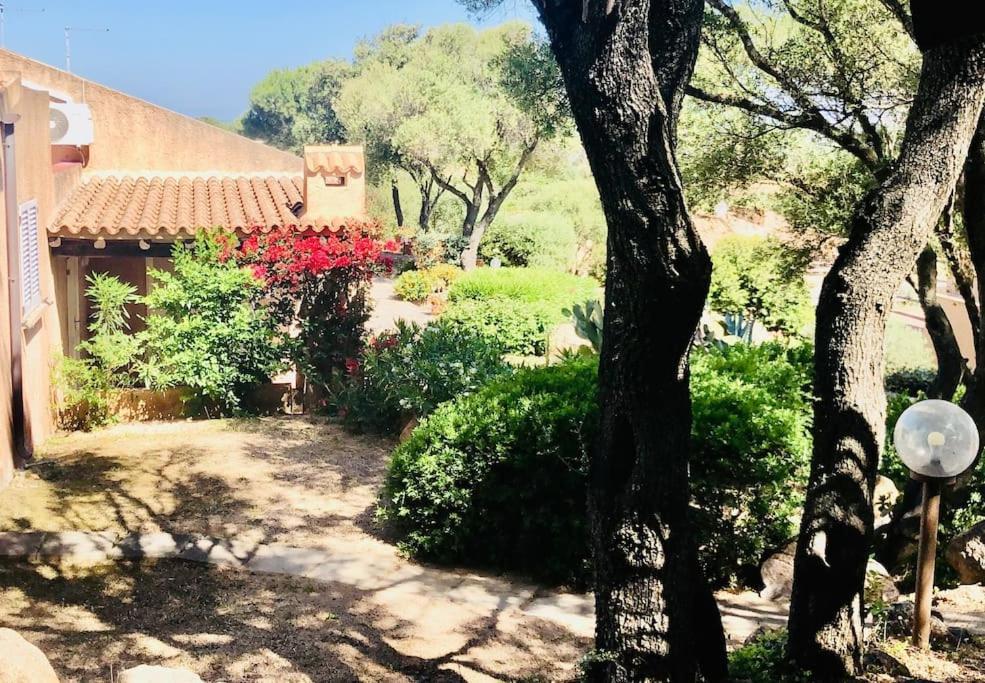 Acqua & Sale Casa Stazzo Villa Палау Екстериор снимка